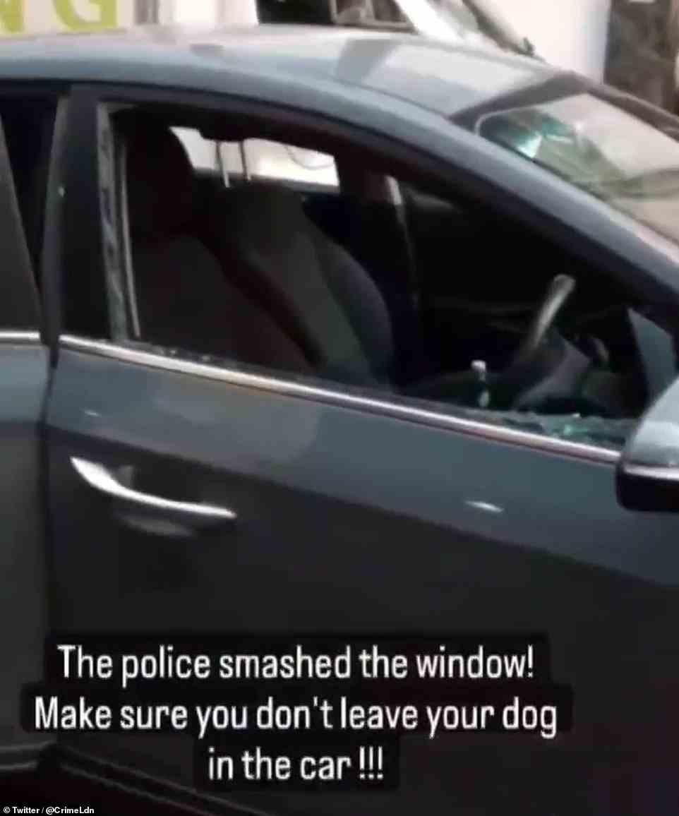 Police smashed the window of a car in Leicester Square, central London, to rescue a dog from the heat yesterday