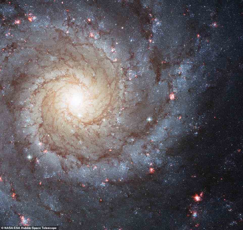 Die Spiralarme von NGC 628 wurden zuvor abgebildet, aber sie wurden vom Hubble-Weltraumteleskop im sichtbaren Licht aufgenommen (im Bild).