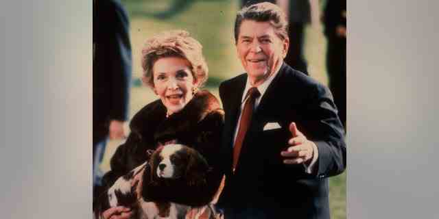 Dieses Aktenfoto vom Dezember 1986 zeigt die damalige First Lady Nancy Reagan, die Rex, einen King Charles Spaniel, hält, als sie und Präsident Reagan auf dem Südrasen des Weißen Hauses spazieren gingen. 