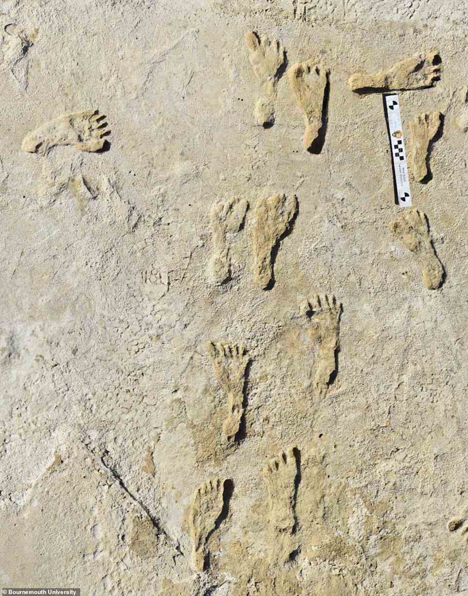 Obwohl der Standort in Utah nicht so alt und möglicherweise nicht so umfangreich wie White Sands (im Bild) ist, sagte Urban, dass möglicherweise noch viel mehr zu finden sei, und das Team sagte, dass sie in naher Zukunft eine vollständige Studie veröffentlichen werden.  Die Fußabdrücke in New Mexico wurden 2021 entdeckt und auf ein Alter von 23.000 Jahren datiert