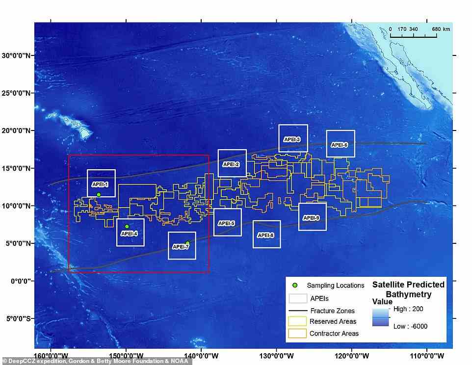 Map of the abyssal Pacific seafloor targeted for seafloor nodule mining showing the areas where mining contractors will work and areas protected from mining (APEIs). This expedition studied three protected areas in the west of the Clarion Clipperton Zone