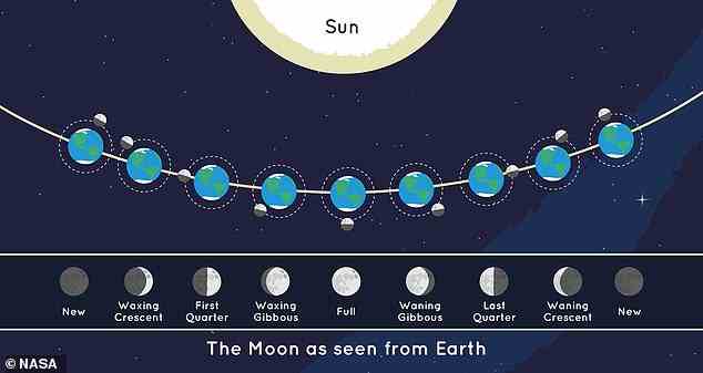Wie die Erde hat der Mond eine Tag- und eine Nachtseite, die sich ändern, wenn sich der Mond dreht.  Die Sonne beleuchtet immer die Hälfte des Mondes, während die andere Hälfte dunkel bleibt, aber wir können viel von dieser leuchtenden Hälfte sehen, die sich ändert, wenn der Mond durch seine Umlaufbahn wandert