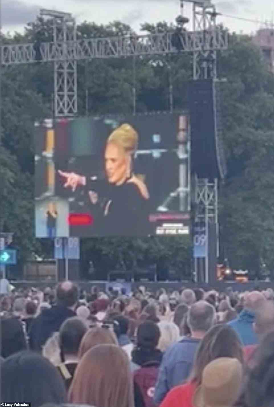 Schnelle Reaktion: Adele, 33, brachte ihr Konzert beim BST Festival im Hyde Park London zu einem abrupten Stopp, nachdem sie auf einen Fan aufmerksam gemacht wurde, der am Freitag Hilfe von der Sicherheit benötigte