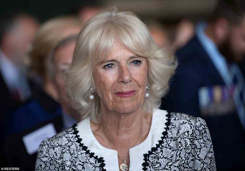 An award winning author has written of claims that Camilla, the Duchess of Cornwall, asked Prince Harry if his unborn mixed-race child would have a 'ginger Afro' when he grows up