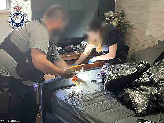 Die Polizei hat illegale Drogen im Wert von Millionen Dollar beschlagnahmt und ein geheimes Drogenlabor in einer großen verdeckten Operation mehrerer Behörden gegen die organisierte Kriminalität in NSW und Queensland demontiert