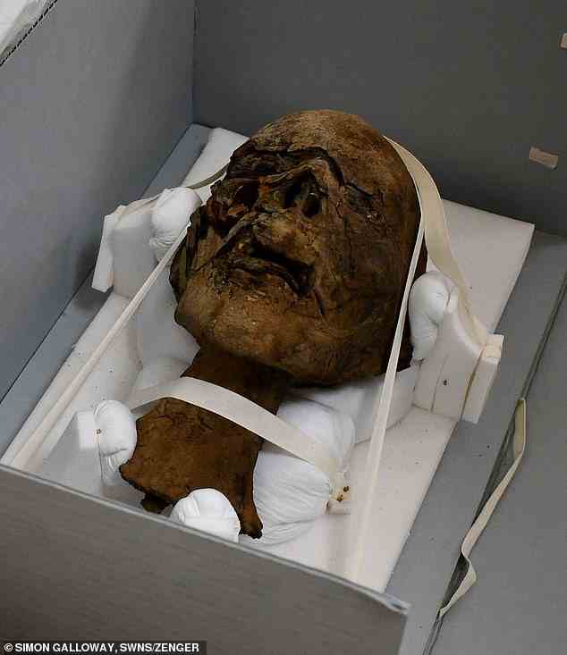 Der mumifizierte Kopf wurde der Forschung gespendet.  Es wurde auf dem Dachboden eines Hauses in Großbritannien gefunden