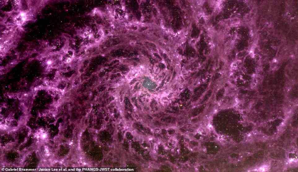 Gabriel Brammer, ein Astronom, erstellte dieses Bild mit verarbeiteten Rohdaten, die die NASA der Öffentlichkeit zur Verfügung stellt.  Die Galaxie ist nicht unbedingt lila, aber die Farbe kommt von den Wellenlängen, die von der Strahlung innerhalb des Moleküls der Galaxie emittiert werden