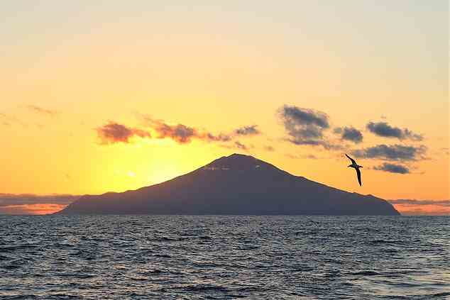 Mitten im Atlantischen Ozean gelegen, ist Tristan da Cunha die isolierteste bewohnte Insel der Erde, ein Faktor, der sich während der Covid-Pandemie zu seinem Vorteil ausgewirkt hat.  Die Insel ist hier abgebildet, während ein Albatross vorbeifliegt