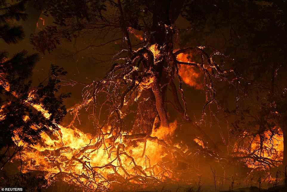 The McKinney Fire burning near Yreka, California on Saturday