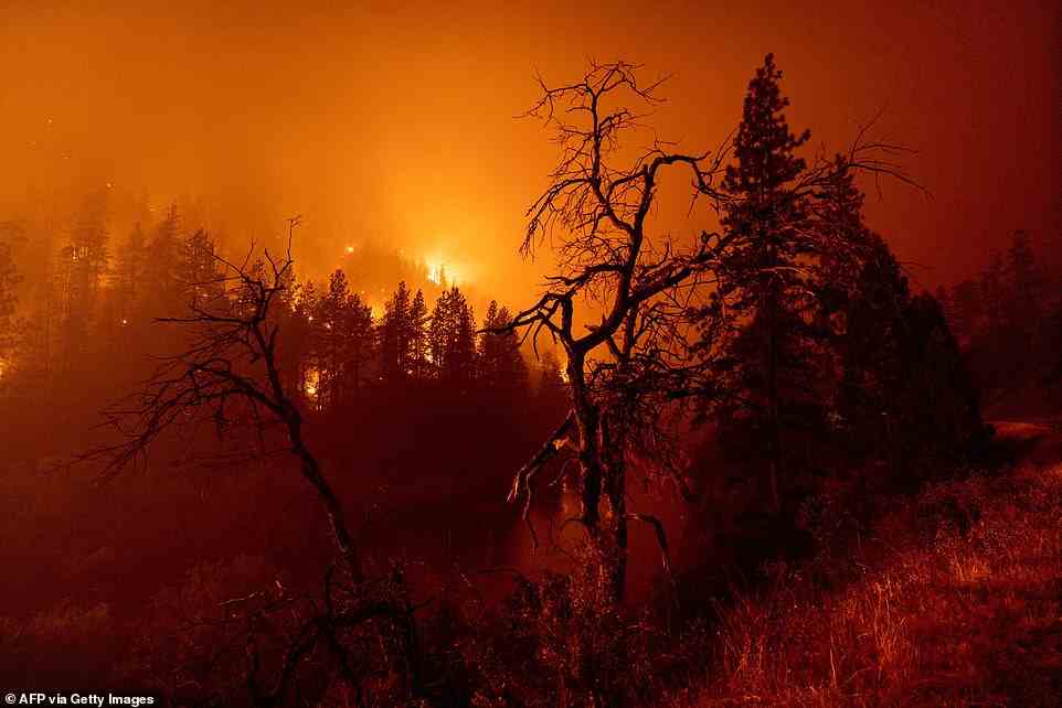 Flames burn to the Klamath River during the McKinney Fire in the Klamath National Forest northwest of Yreka, California