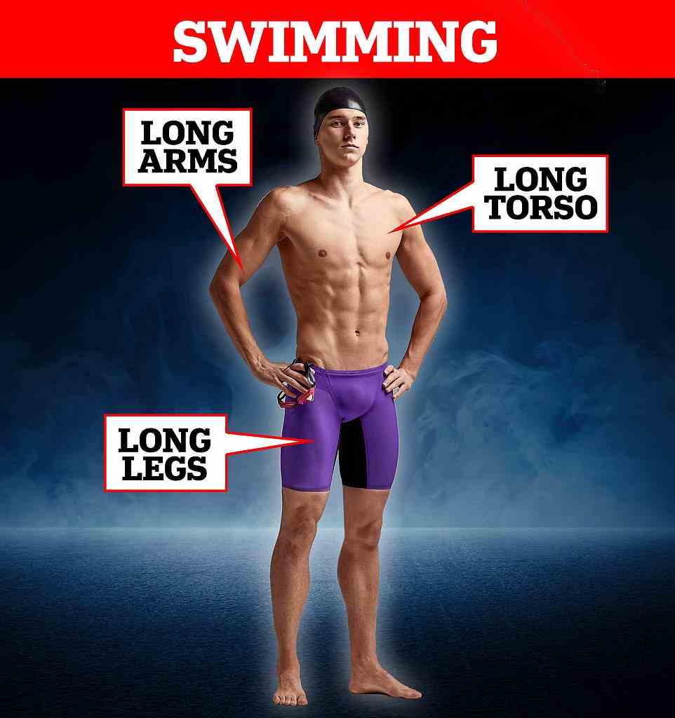 Dr Hawkey said that 'height has of huge influence on success' in swimming, as speed is about stroke rate multiplied by stroke length. Long arms help with reach in strokes and at the finish