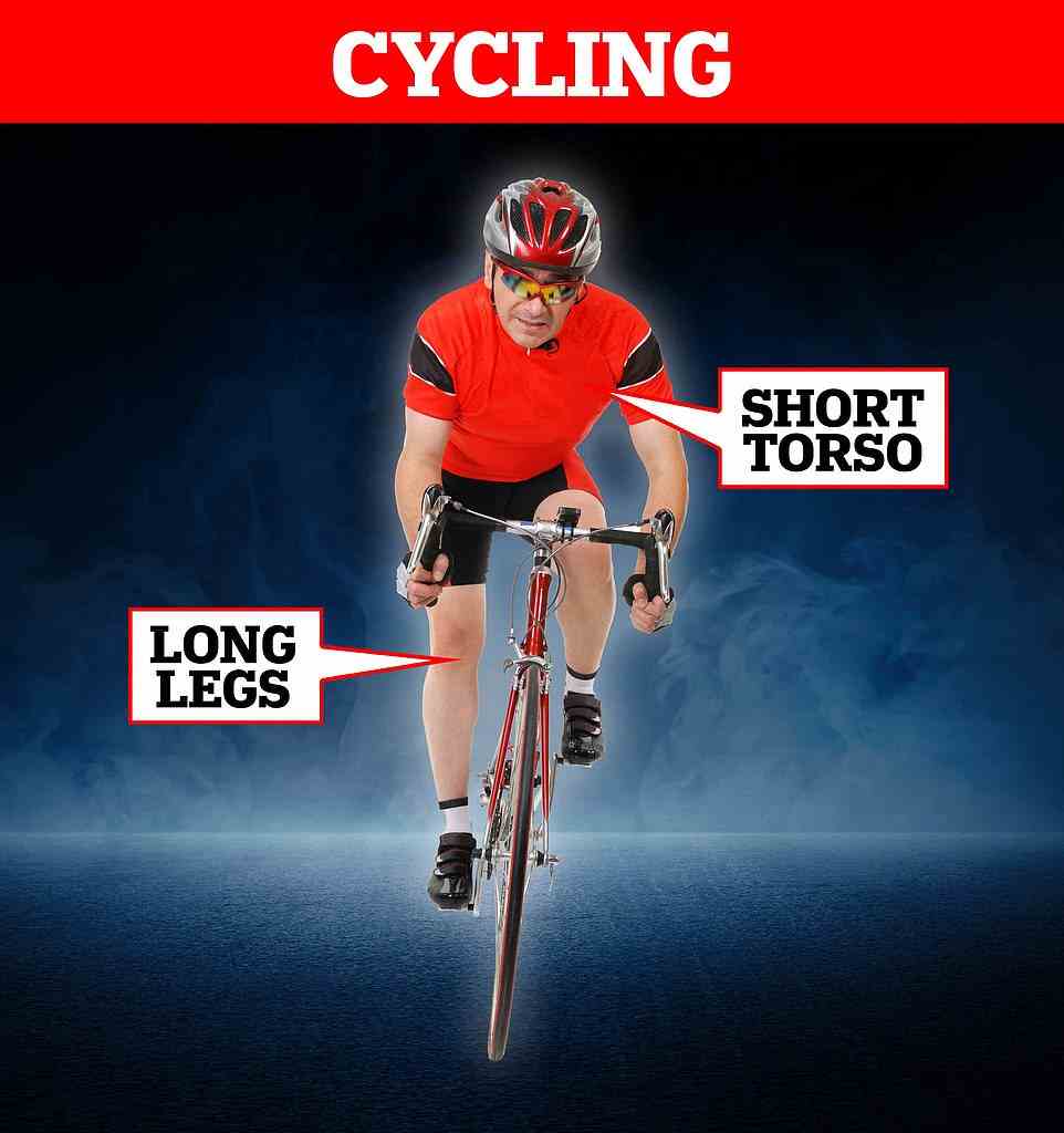 For cyclists, a short torso and longer legs gives a longer leg-to-height ratio, resulting in reduced aerodynamic drag which slows down the bike
