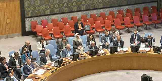Das Treffen des Sicherheitsrates der Vereinten Nationen zur Erörterung der jüngsten Situation im Nahen Osten.