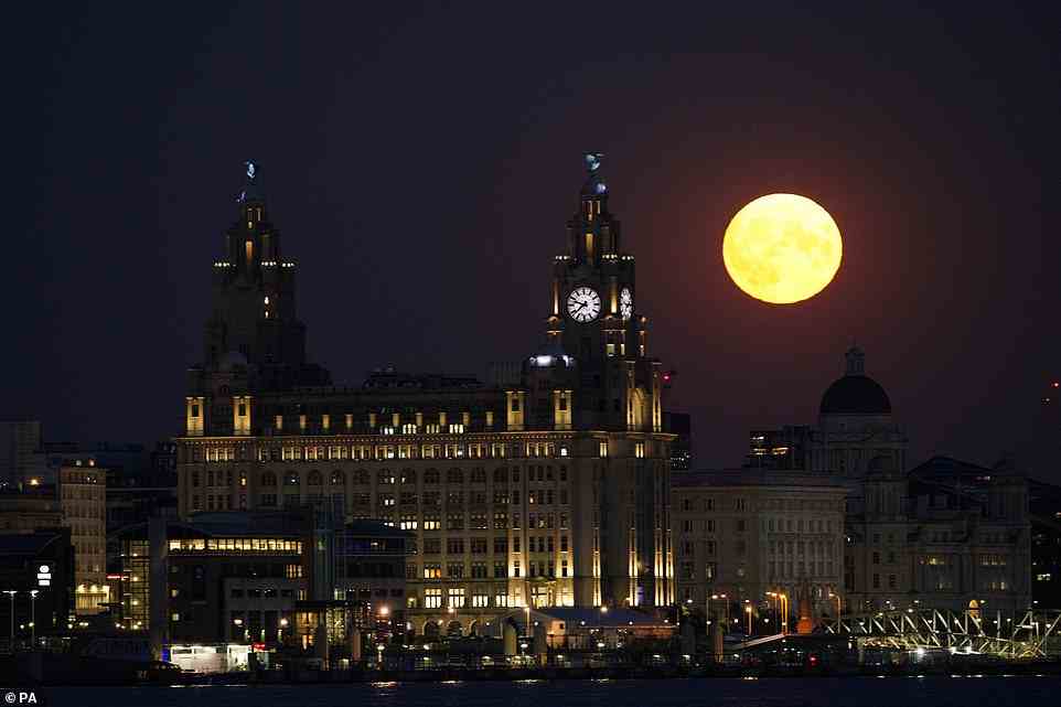 The Royal Liver Building in Liverpool is lit up by the Sturgeon supermoon this evening, in what will be the last supermoon of the year