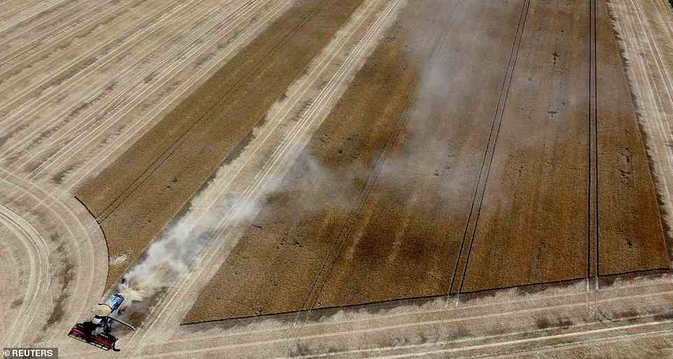 An aerial view of the harvest during the heatwave in Scampton, Lincolnshire. Parts of southern England have had the driest July since records began, and reservoirs are at their lowest level for 30 years. Sources last night said they expect the drought declaration to be a 'formality'
