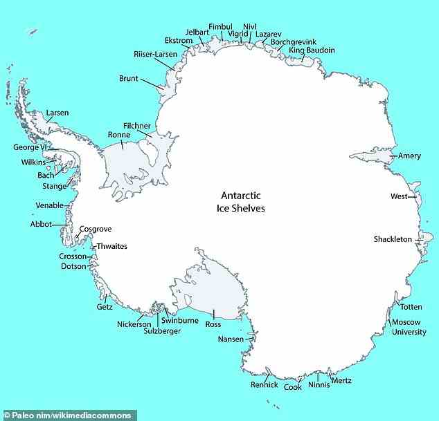 Die Antarktis beherbergt eine Reihe von Eisschelfs, die auf dieser Karte markiert sind, darunter Amery, Shackleton und Ross.  Die Formationen sind auch entlang arktischer Küsten zu finden