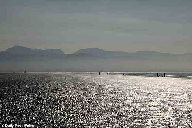 Black Rock Sands in der Nähe von Porthmadog hat 11 Menschen gesehen, die von dem Petermännchen-Fisch gestochen wurden