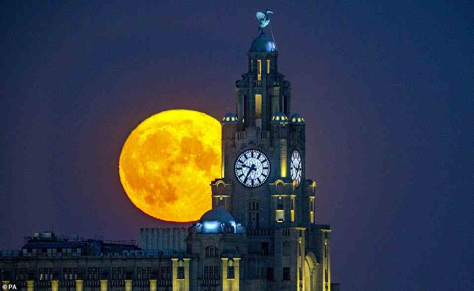 The Royal Liver Building, located at Liverpool's Pier Head, is one of the city's 'Three Graces' that line the city's waterfront
