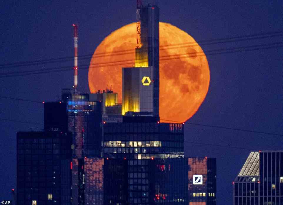 Thursday's supermoon is seen here behind the tall buildings that make up the banking district in the city of Frankfurt, Germany