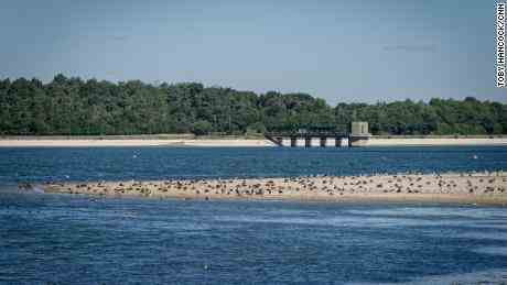Niedrige Wasserstände legen Teile der Küstenlinie am Hanningfield Reservoir in Essex, England, frei.