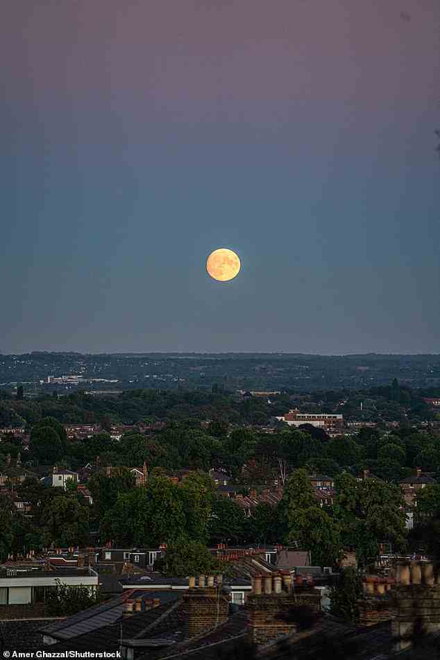The moon rises above the landscape in Wimbledon south west London at sunset on August 10