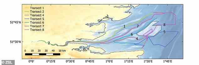 Die Karte zeigt, wo die akustischen Untersuchungen durchgeführt wurden.  Der Standort des Offshore-Windparks London Array ist als helles Polygon dargestellt
