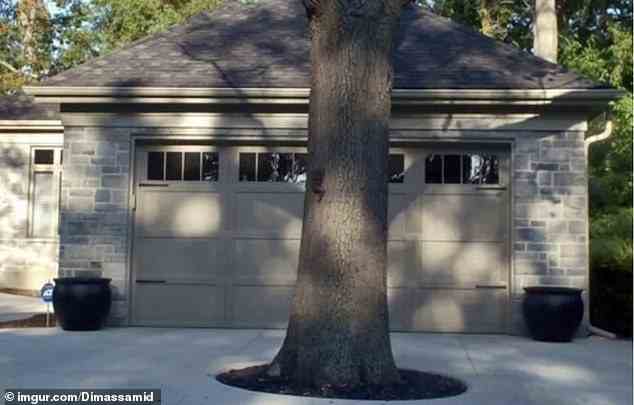 Hoffentlich ist der Besitzer dieser Garage in Kanada nicht zu sehr daran interessiert, dort ein Auto zu parken - da die Platzierung dieses Baumes es sehr schwierig machen würde