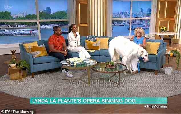 Die Zuschauer waren schockiert von der Größe des sehr großen weißen Hundes, der mit Lynda am Set traben sah