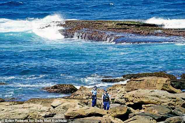 Das Department of Primary Industries installiert nach Sydneys erstem tödlichen Haiangriff seit 60 Jahren 15 SMART-Drumlines von Little Bay nach Bondi.  Abgebildet ist Little Bay