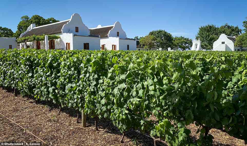 Babylonstoren, eine Farm, ein Weingut, ein Restaurant und ein Hotel östlich von Kapstadt, eröffnete kürzlich The Story Of Wine, ein innovatives, familienfreundliches Museum