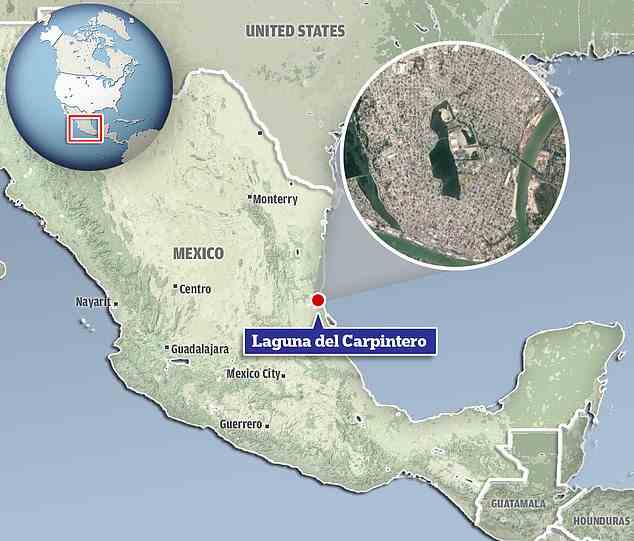 Urlauber hatten sich versammelt, um Schildkröten beim Schwimmen in der Laguna del Carpintero in der Stadt Tampico zu beobachten, waren aber entsetzt, als sie am Donnerstag ein Krokodil mit dem Körper des Mannes im Kiefer an ihnen vorbeischwimmen sahen