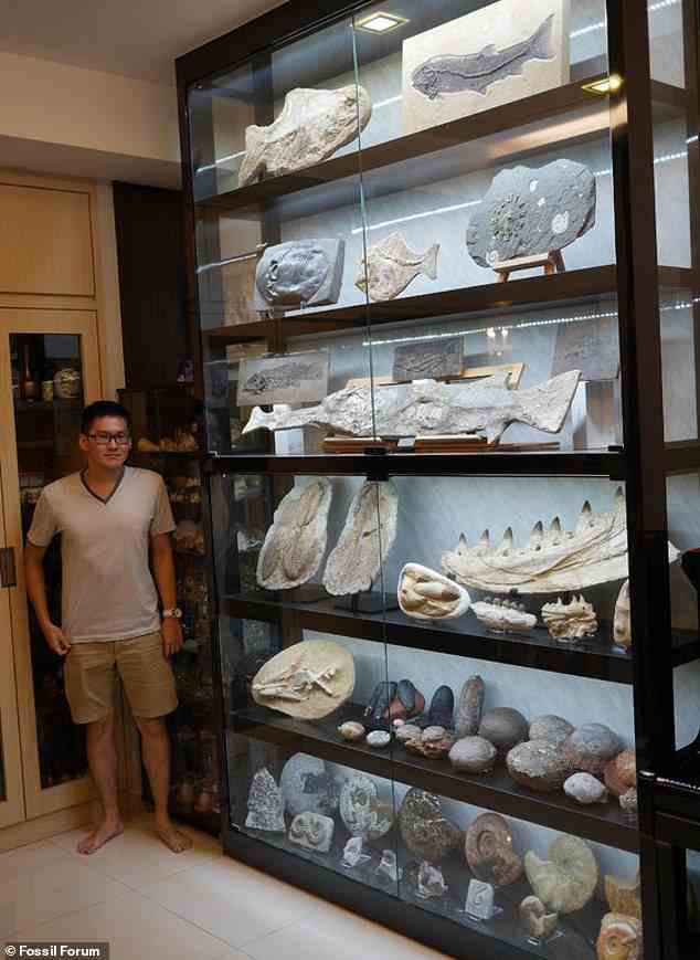 Calvin Chu (pictured) is one of the many private individuals who are purchasing dinosaur fossils. Chu, who lives in Singapore. has collected more than 1,000 dinosaur remains, with a majority of them from the US. He uses them as decorations in his two-story home