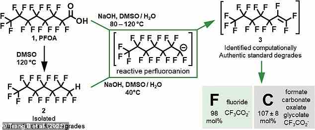 PFCA-Moleküle (oben links) bestehen aus einer langen Kohlenstoffkette mit daran gebundenen Fluoratomen, haben aber an einem Ende auch zwei negativ geladene Sauerstoffatome.  Diese ist als „Carbonsäuregruppe“ bekannt und kann mit anderen Molekülen reagieren.  Nach dem Erhitzen des PFCA in Wasser mit Dimethylsulfoxid (DMSO) und Natronlauge wird diese Carbonsäuregruppe abgespalten und bildet Wasser (Mitte).  Dies löste dann eine chemische Reaktion aus, die „allmählich an dem Molekül herumknabberte“, so der Mitautor und UCLA-Professor Kendall Houk.  Im Bild: Übersicht über die Abbauwege während der Reaktion