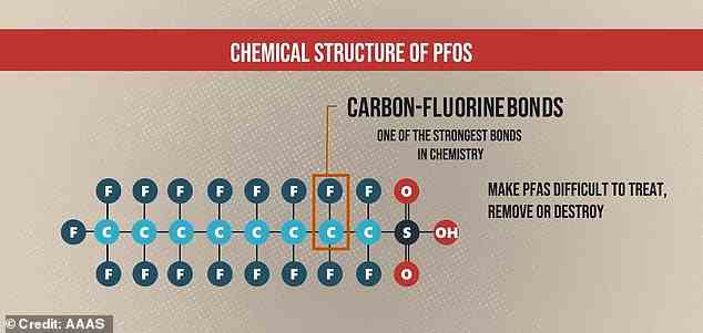 Die Langlebigkeit von PFAS ist einer Bindung zu verdanken, die sie alle zwischen Kohlenstoff- und Fluoratomen enthalten, die nichts in der Natur brechen kann