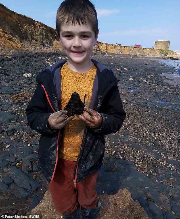 Im Bild: Sammy Shelton, 6, hält einen Megalodon-Haizahn aus der Zeit vor 3 Millionen Jahren, den er fand, als er im Mai an einem britischen Strand nach Muscheln suchte