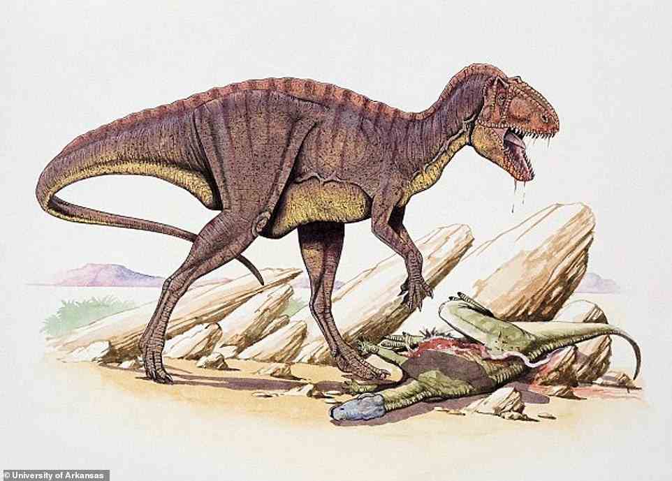 Die Spuren, von denen größtenteils angenommen wird, dass sie zu der 15 Fuß großen, sieben Tonnen schweren Acrocanthosaurus-Dinosaurierart gehören (abgebildet in einer künstlerischen Darstellung), wurden von Experten im Dinosaur Valley State Park des Bundesstaates gefunden.