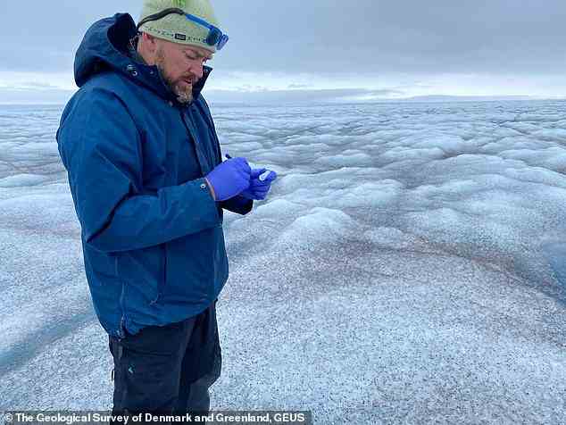 Professor Jason Box entnimmt während der Schmelzsaison Eisproben, die auf freiliegendem Eis unterhalb der Schneegrenze des grönländischen Eisschildes in Westgrönland stehen