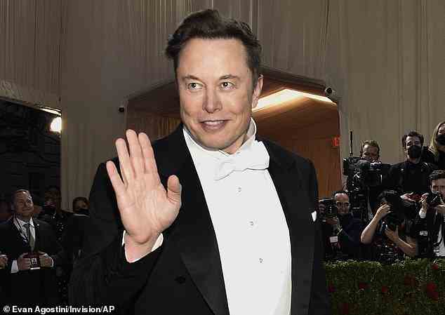 Elon Musk war im vergangenen Jahr mit mehr als 10 Milliarden US-Dollar Gewinn der bestbezahlte CEO