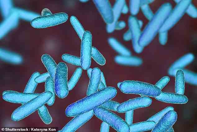 Forscher fanden heraus, dass Fabimycin – ein noch nicht zugelassenes Antibiotikum – gegen Infektionen wirkt, die durch 300 Arten gramnegativer Bakterien verursacht werden (Bild)