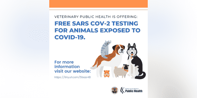 Das Gesundheitsministerium von Los Angeles County bietet kostenlose COVID-19-Tests für Haustiere an, die möglicherweise dem Virus ausgesetzt waren.