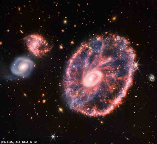 Feuerwerk: Das James-Webb-Weltraumteleskop beeindruckt wieder einmal mit seinem Blick ins Universum.  Es hat in das Chaos der Cartwheel Galaxy (im Bild) gespäht und neue Details über die Sternentstehung und das zentrale Schwarze Loch der Galaxie enthüllt