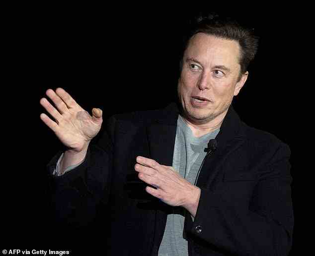 An der Spitze des Rennens: Teslas unverblümter Chef Elon Musk – eine Mischung aus Köpfchen, Bravour und Vision