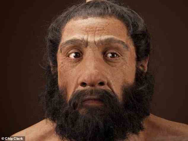 Entdeckung: Die meisten Kreuzungen zwischen Menschen und Neandertalern fanden vor etwa 50.000 Jahren in der Region „Naher Osten“ zwischen Nordafrika und dem Irak statt, so eine neue Studie