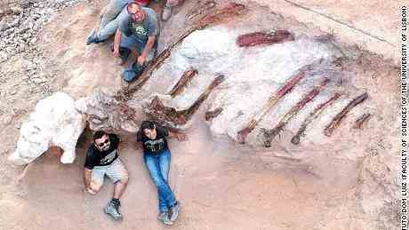 Die Forscher glauben, dass die Überreste etwa 39 Fuß hoch und 82 Fuß lang sein könnten.