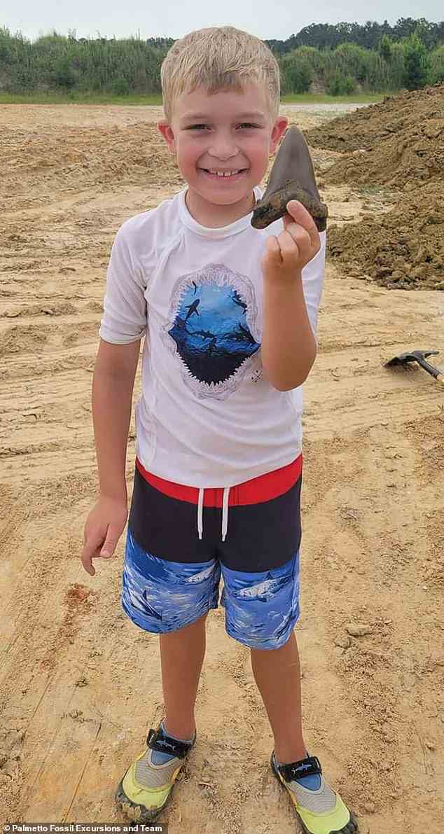 Ein achtjähriger Junge namens Riley entdeckte einen großen versteinerten Haifischzahn, als er im Urlaub mit seiner Familie in South Carolina durch Kies und Erde grub