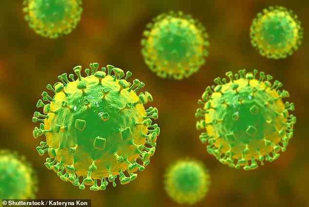 Das Langya-Virus wurde bei 35 Menschen in China entdeckt (im Bild eine Illustration des Nipah-Virus, eines verwandten Virus)