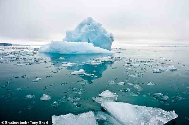 Die Arktis erwärmt sich fast viermal schneller als der Rest der Welt, wie eine neue Studie zeigt.  Abgebildet sind schmelzende Meereisschollen in stillen Gewässern der nördlichen Arktis