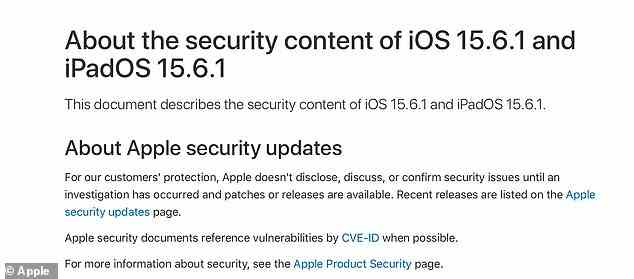 In einem Update auf seiner Support-Seite sagte Apple, dass einer der Fehler bedeutet, dass eine bösartige Anwendung „möglicherweise beliebigen Code mit Kernel-Privilegien ausführen kann“ – was als vollständiger Zugriff auf das Gerät beschrieben wurde