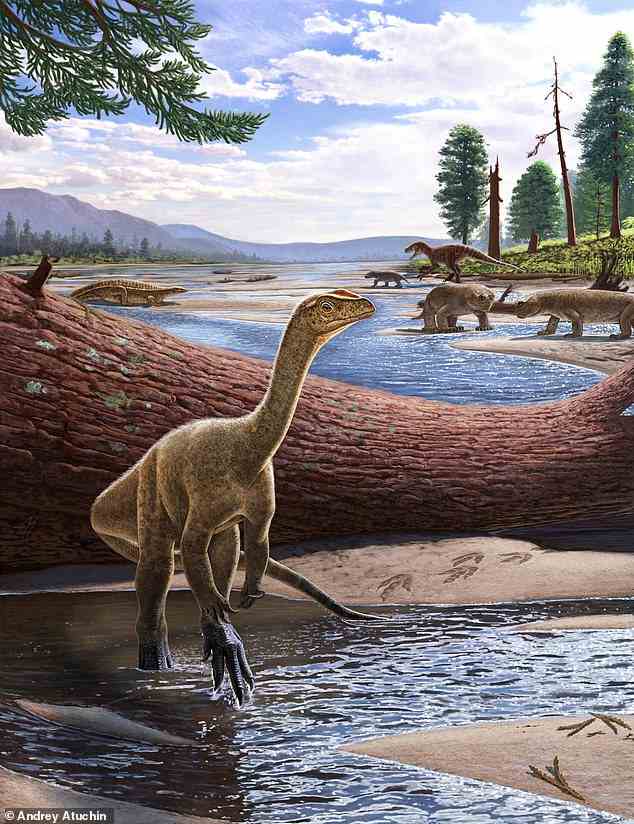 Ein langhalsiger Dinosaurier mit gezackten Zähnen und einem langen Schwanz durchstreifte Simbabwe vor 230 Millionen Jahren, wie neue Fossilienanalysen ergeben haben (künstlerischer Eindruck abgebildet).