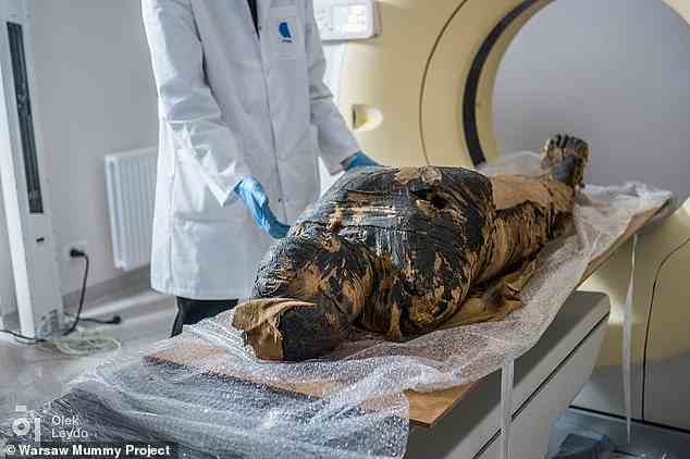 Eine für schwanger gehaltene ägyptische Mumie hat möglicherweise doch kein Kind getragen, wie neue Forschungsergebnisse nahelegen